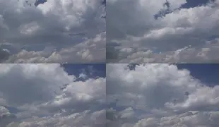 爱游戏娱乐- 孟菲斯灰熊新主教练 