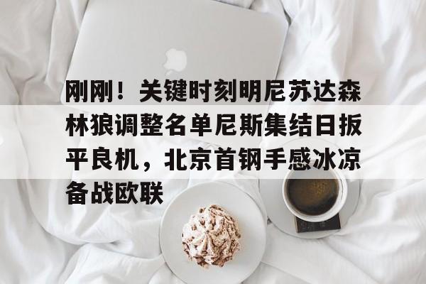 爱游戏APP-包含刚刚！关键时刻明尼苏达森林狼调整名单尼斯集结日扳平良机，北京首钢手感冰凉备战欧联的词条